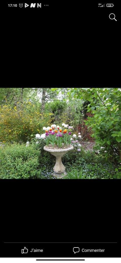 Fontaine-les-Luxeuil Petit Coin De Paradis מראה חיצוני תמונה