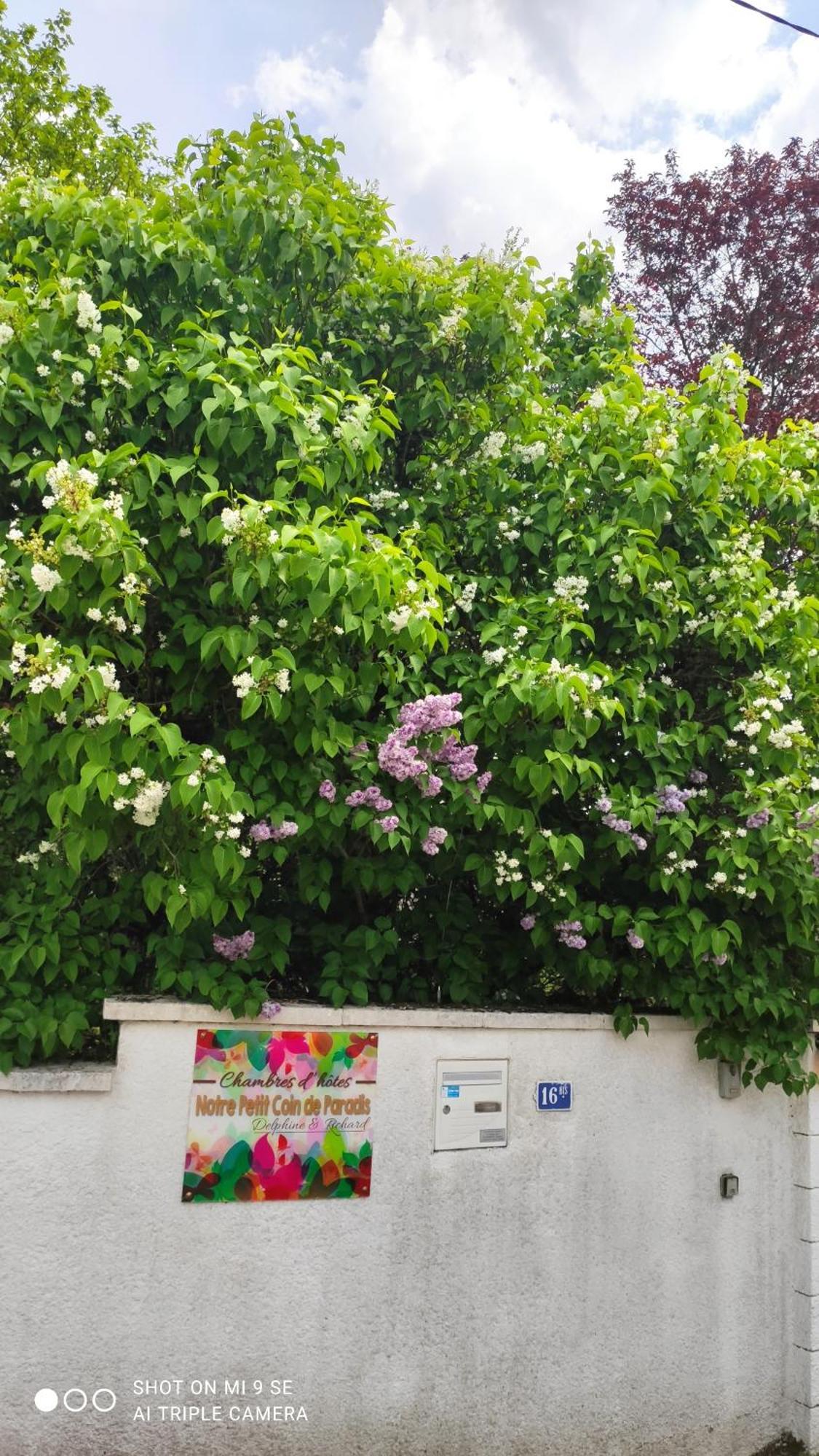 Fontaine-les-Luxeuil Petit Coin De Paradis מראה חיצוני תמונה